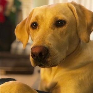 Meet your Posher, Daniel